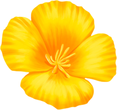 poppy_logo